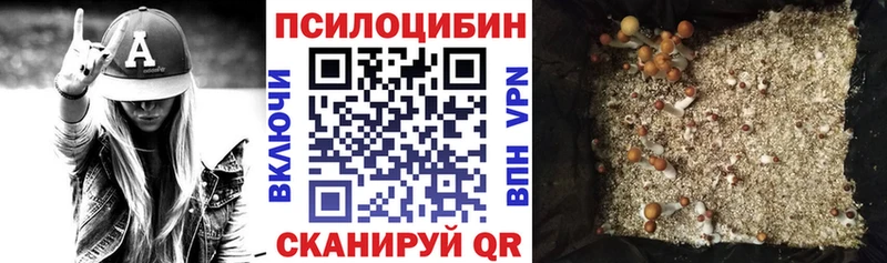 Купить где Рославль Псилоцибиновые грибы Magic Shrooms